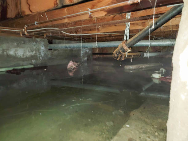Jekyll Island, GA Water damage restoration Company