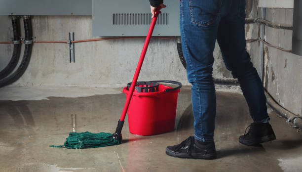 Best 24/7 water damage repair  in Jekyll Island, GA