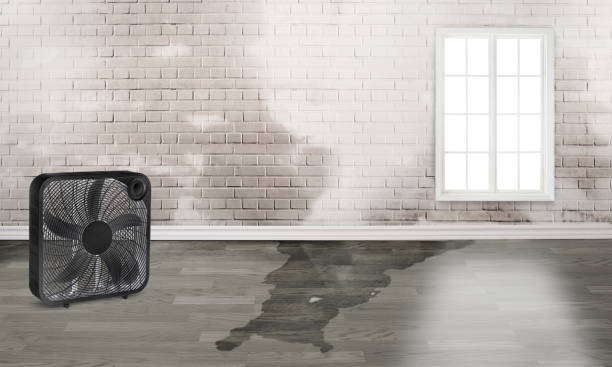 Best 24-hour water damage restoration  in Jekyll Island, GA