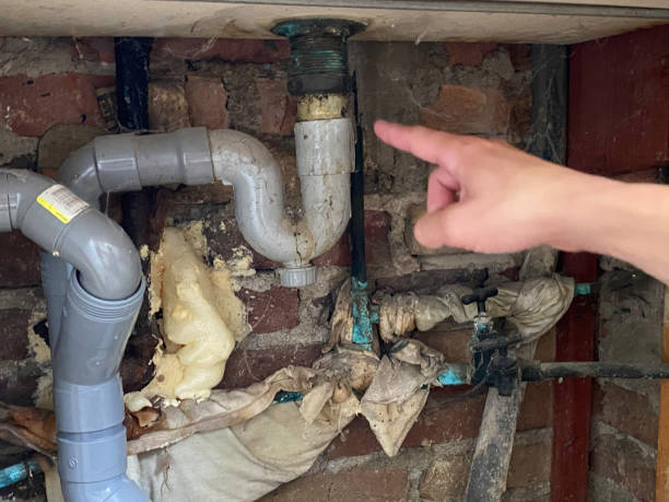 Best Water damage cleanup near me  in Jekyll Island, GA